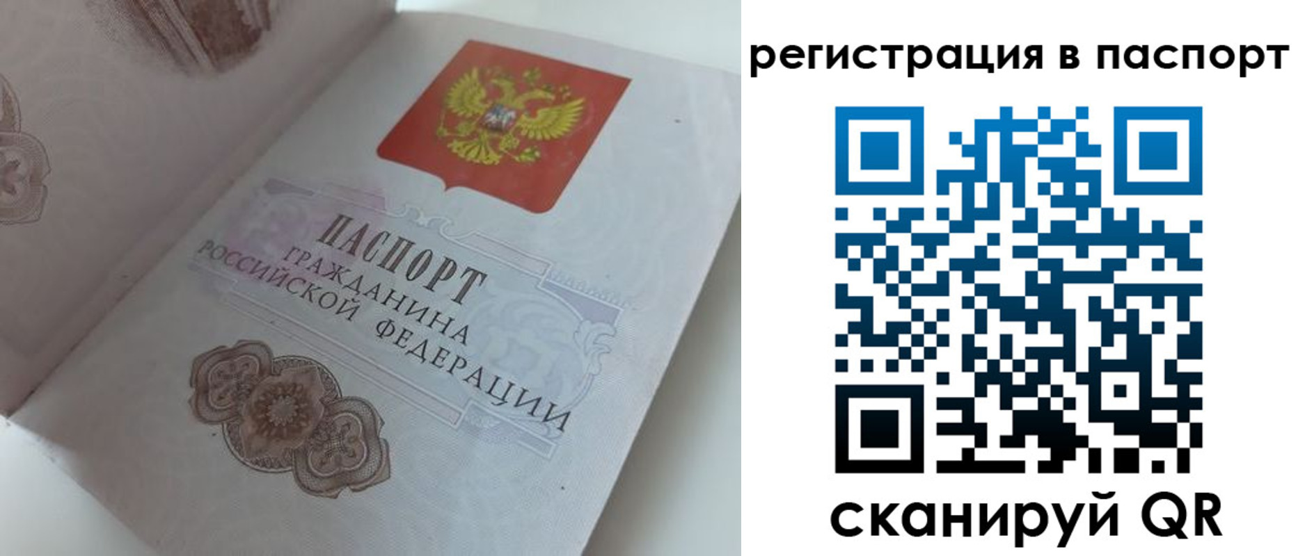 прописка регистрация в Тейково